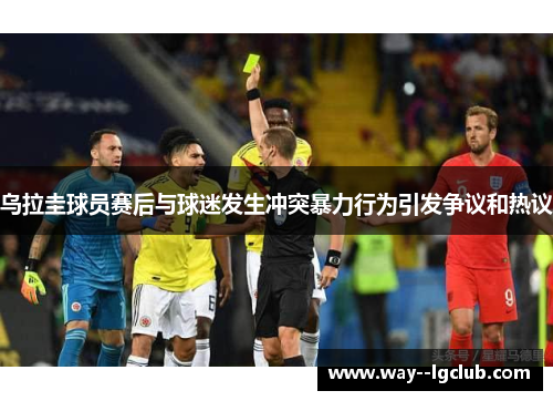 乌拉圭球员赛后与球迷发生冲突暴力行为引发争议和热议
